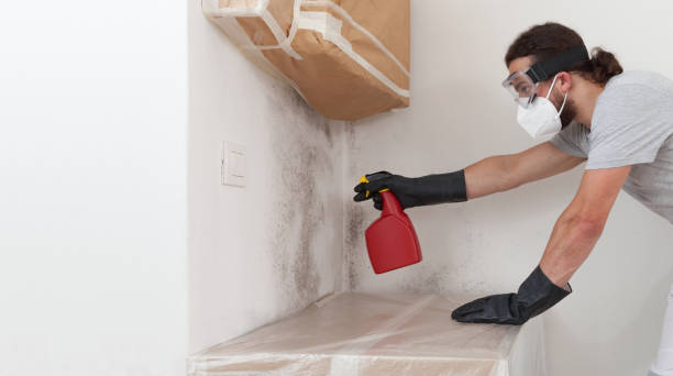 Professional Crawl Space Mold Remediation technician working in Roselle Park, NJ